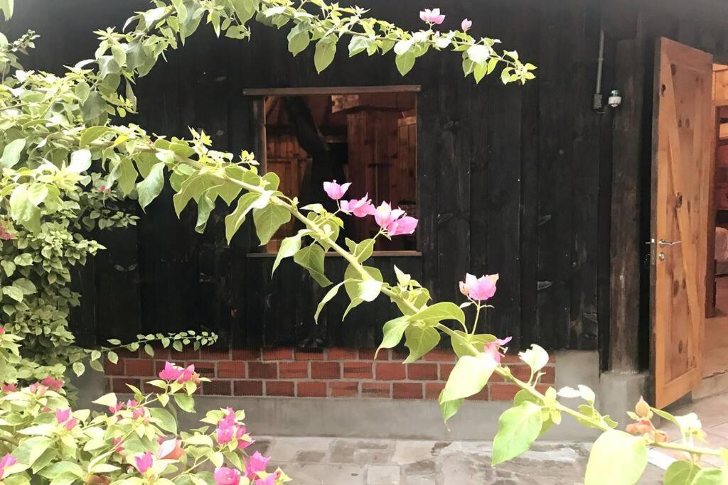 Galpao Rustico No Vale Dos Vinhedos Villa Bento Gonçalves Dış mekan fotoğraf